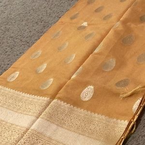 Yellow Banarasi Handloom Cotton silk saree